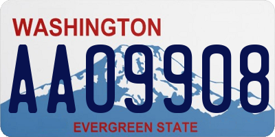 WA license plate AAO9908