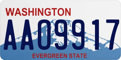 WA license plate AAO9917