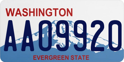 WA license plate AAO9920
