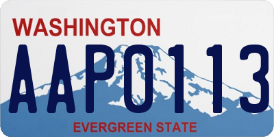 WA license plate AAP0113