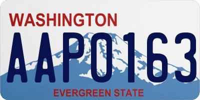 WA license plate AAP0163