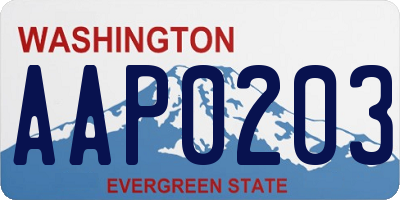WA license plate AAP0203