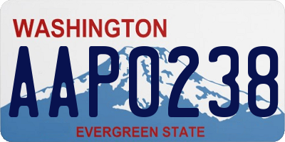WA license plate AAP0238