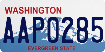 WA license plate AAP0285
