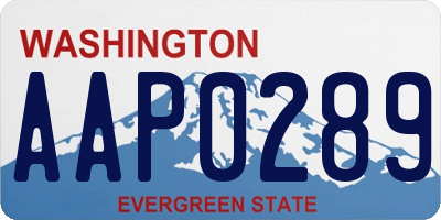 WA license plate AAP0289