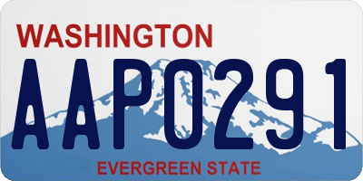 WA license plate AAP0291