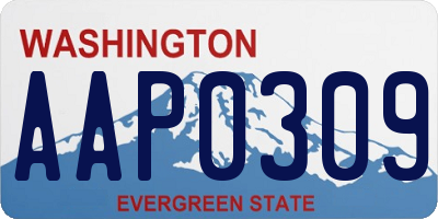 WA license plate AAP0309