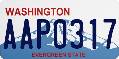 WA license plate AAP0317