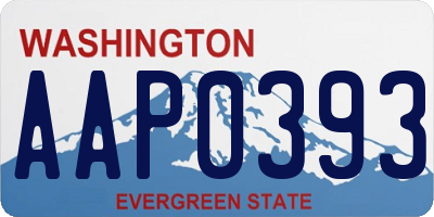 WA license plate AAP0393