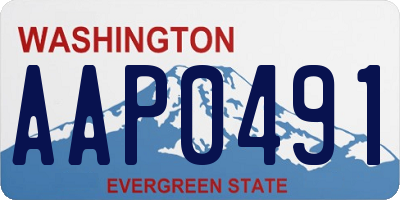 WA license plate AAP0491