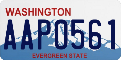 WA license plate AAP0561