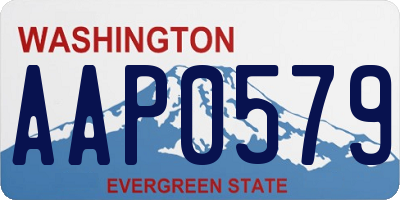 WA license plate AAP0579
