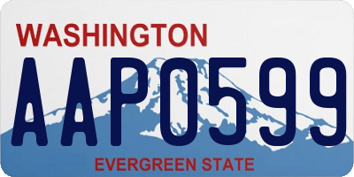 WA license plate AAP0599