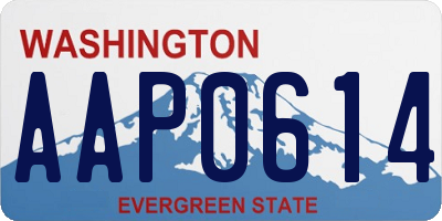 WA license plate AAP0614