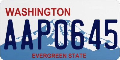 WA license plate AAP0645