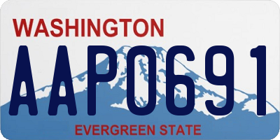 WA license plate AAP0691