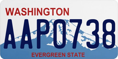 WA license plate AAP0738