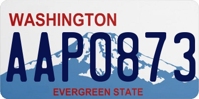 WA license plate AAP0873