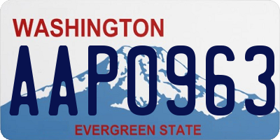 WA license plate AAP0963
