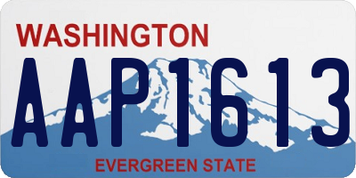 WA license plate AAP1613