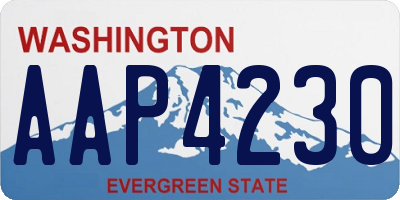 WA license plate AAP4230