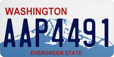 WA license plate AAP4491