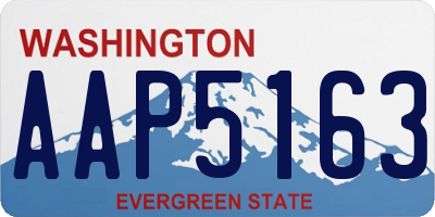 WA license plate AAP5163