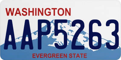 WA license plate AAP5263