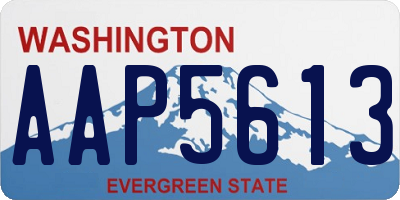 WA license plate AAP5613