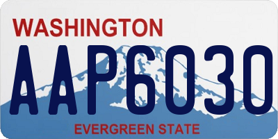 WA license plate AAP6030