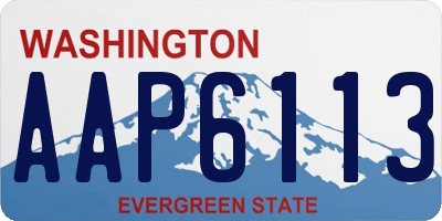 WA license plate AAP6113