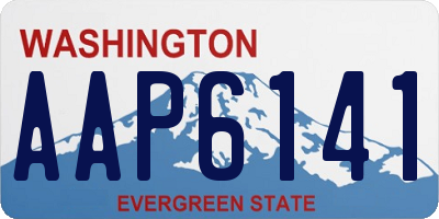 WA license plate AAP6141