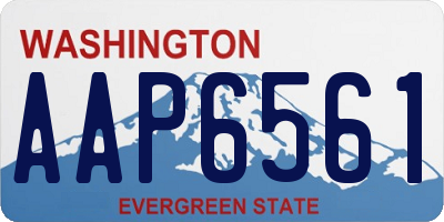 WA license plate AAP6561