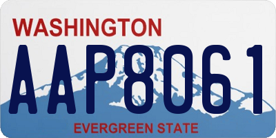 WA license plate AAP8061
