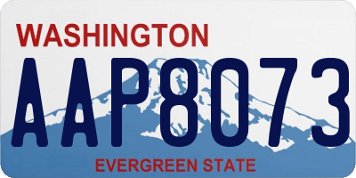 WA license plate AAP8073