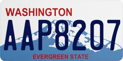 WA license plate AAP8207
