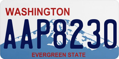 WA license plate AAP8230