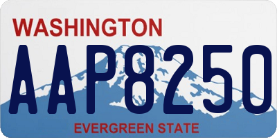 WA license plate AAP8250