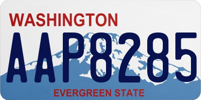 WA license plate AAP8285