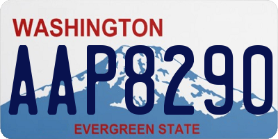 WA license plate AAP8290