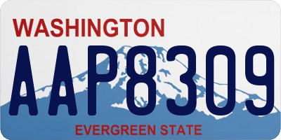 WA license plate AAP8309