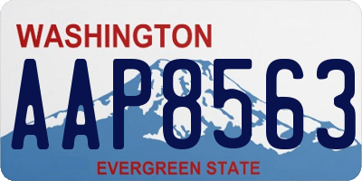 WA license plate AAP8563
