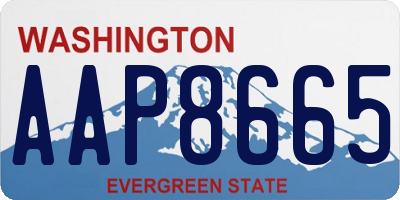 WA license plate AAP8665