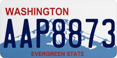 WA license plate AAP8873