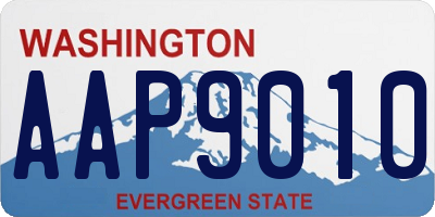 WA license plate AAP9010