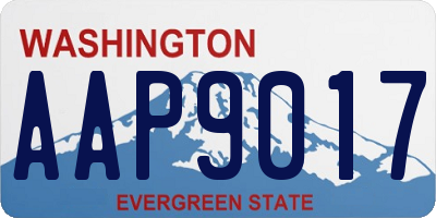WA license plate AAP9017