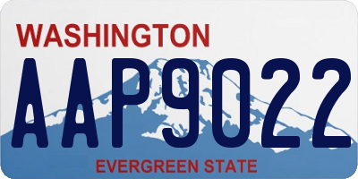 WA license plate AAP9022