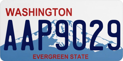 WA license plate AAP9029