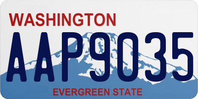 WA license plate AAP9035