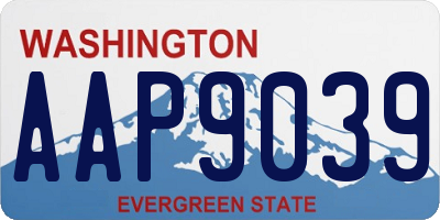 WA license plate AAP9039
